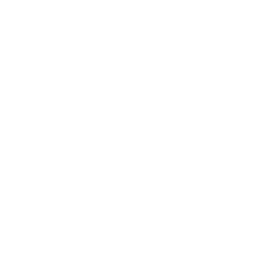 ine-logo