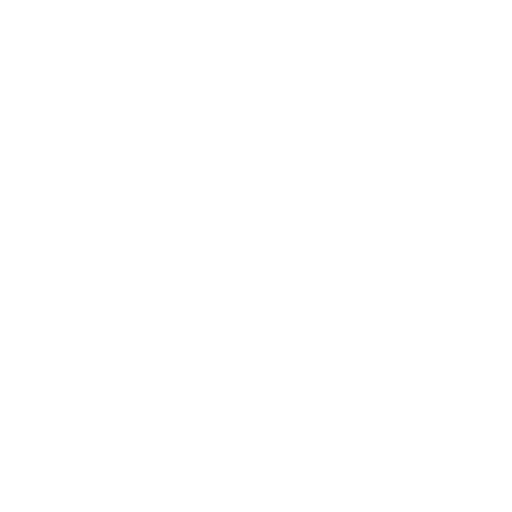 viceroy-logo